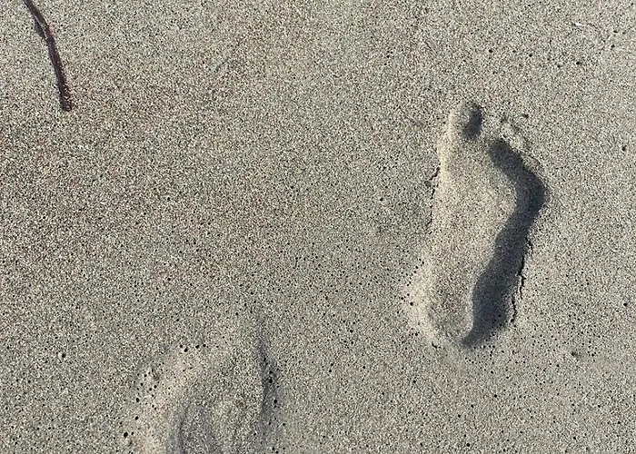 Сasa de vacaciones Off The Beaten Path! Maisonette & Pool